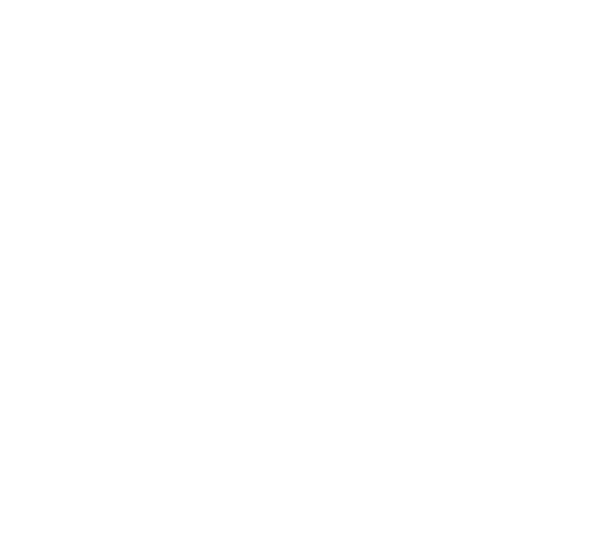 Hivet Group